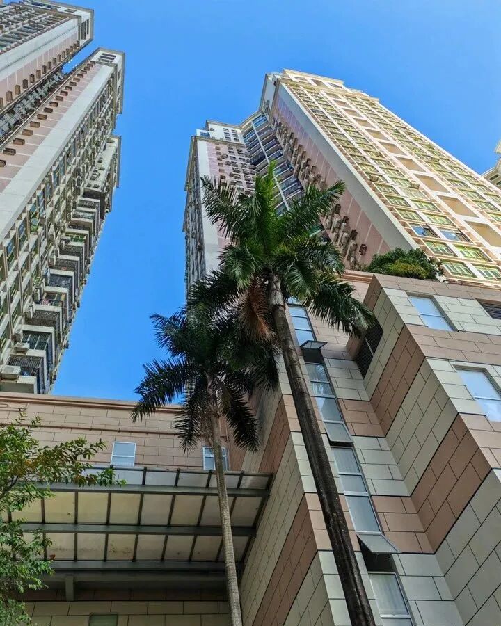 罗湖区都市名园名庭阁C栋10C