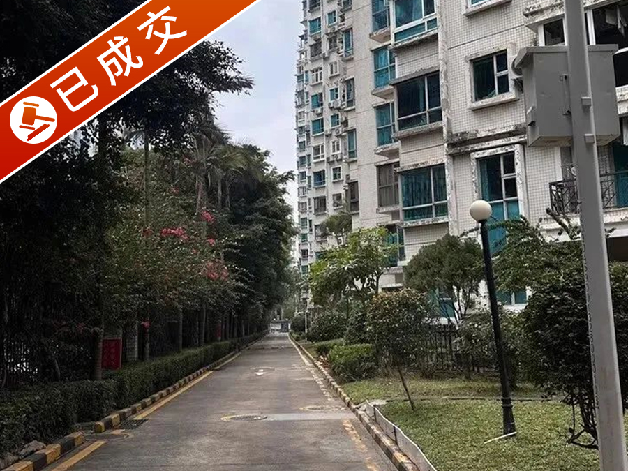 福田区金海燕花园1栋8B