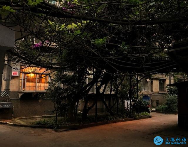 业内人士:多年以后市区的老房子会更加值钱,建议趁早下手