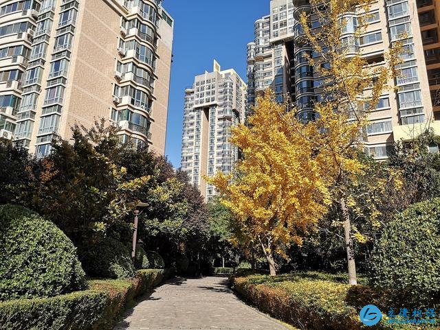 业内专家:刚需购房地段固然重要,但也不能忽视5个方面