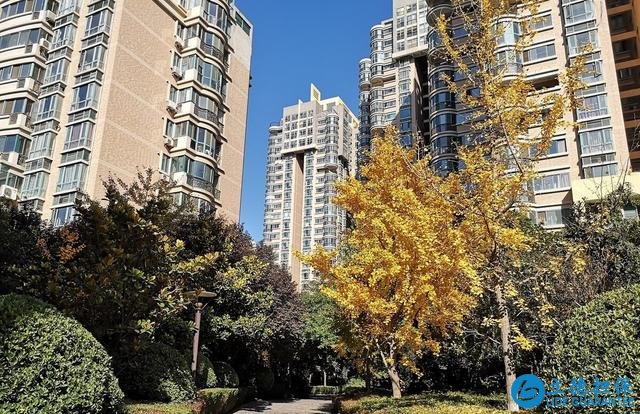 买房子别急着去看样板房,小区内的这4个细节其实更重要