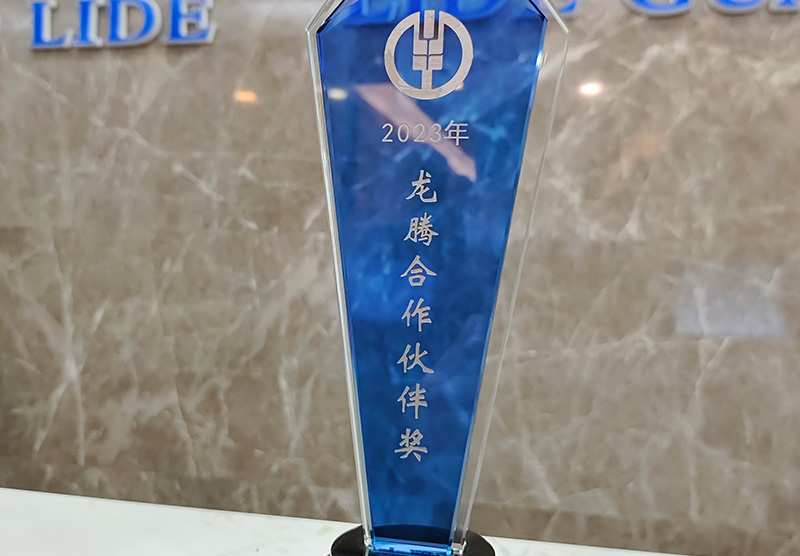 龙腾合作伙伴奖